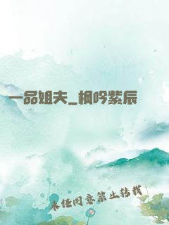 一品姐夫