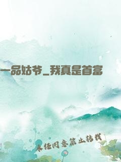 一品姑爷