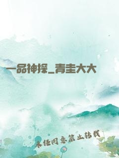 一品神探