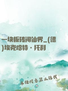 一块板砖闯仙界