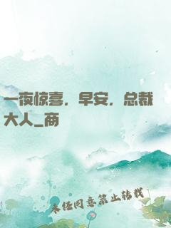 一夜惊喜，早安，总裁大人