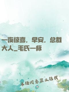 一夜惊喜，早安，总裁大人