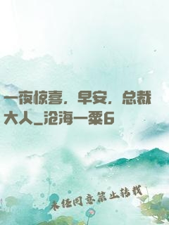 一夜惊喜，早安，总裁大人