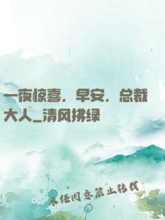 一夜惊喜，早安，总裁大人
