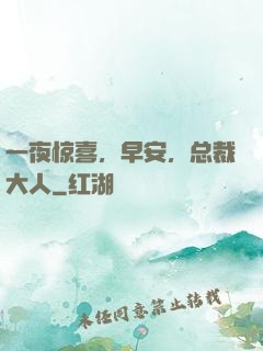 一夜惊喜，早安，总裁大人