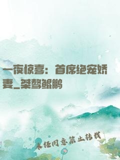 一夜惊喜：首席绝宠娇妻
