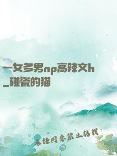 一女多男np高辣文h
