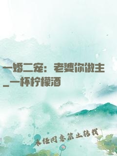 一婚二宠：老婆你做主