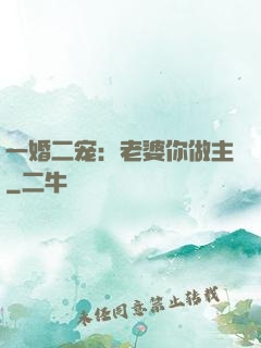 一婚二宠：老婆你做主