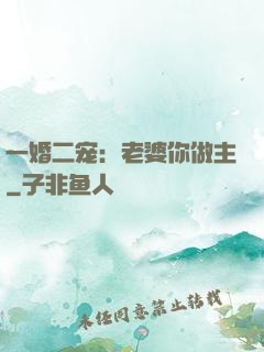 一婚二宠：老婆你做主