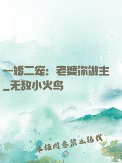 一婚二宠：老婆你做主