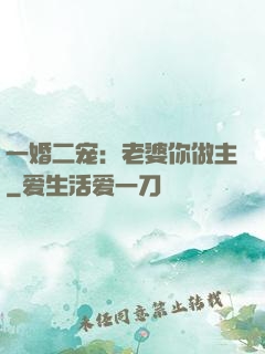 一婚二宠：老婆你做主