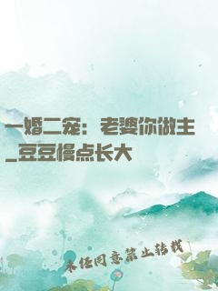 一婚二宠：老婆你做主