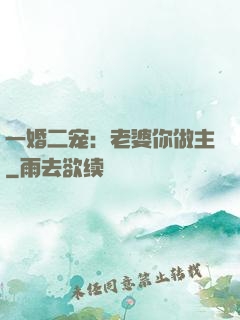 一婚二宠：老婆你做主
