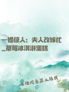 一婚惊人：夫人改嫁忙