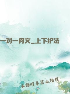 一对一肉文