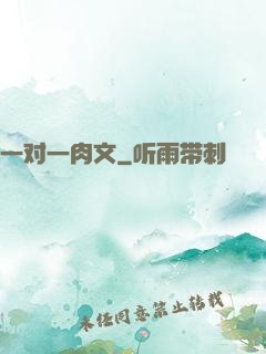 一对一肉文