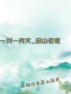 一对一肉文