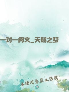一对一肉文