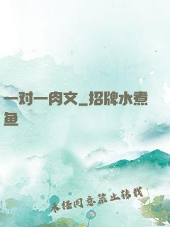 一对一肉文