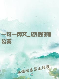 一对一肉文
