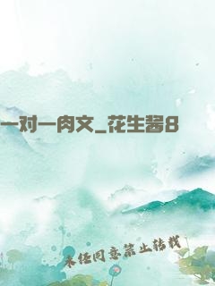 一对一肉文