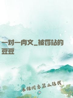 一对一肉文