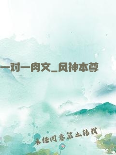一对一肉文