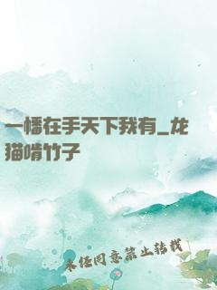 一幡在手天下我有