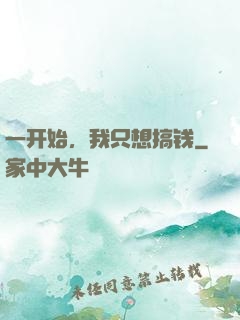 一开始，我只想搞钱