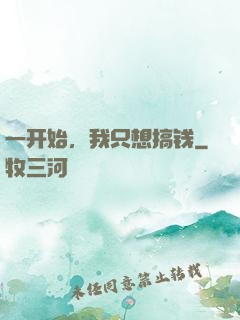 一开始，我只想搞钱