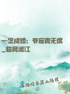 一念成婚：爷宠妻无度