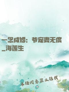 一念成婚：爷宠妻无度