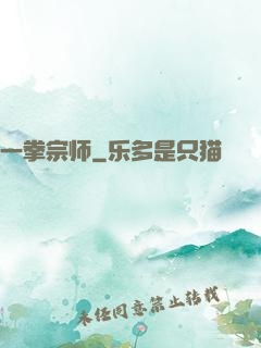 一拳宗师