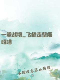 一拳战境