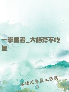 一拳皇者