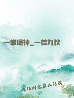 一拳通神