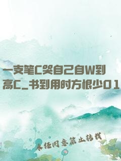 一支笔C哭自己自W到高C