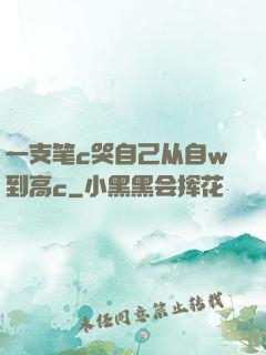 一支笔c哭自己从自w到高c