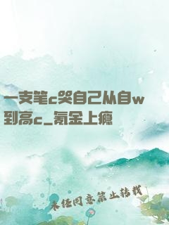 一支笔c哭自己从自w到高c