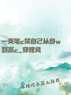 一支笔c哭自己从自w到高c