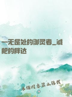 一无是处的御灵者