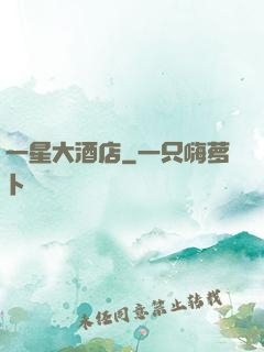 一星大酒店