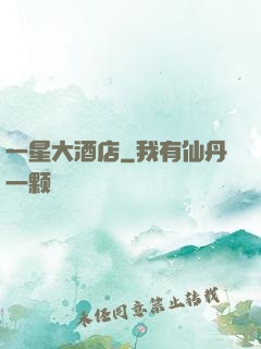 一星大酒店
