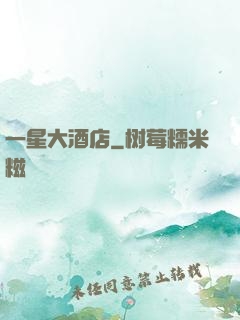 一星大酒店