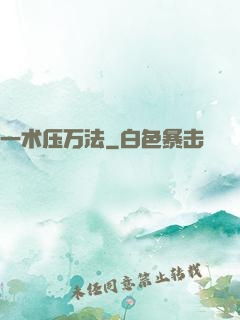 一术压万法