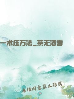 一术压万法