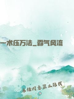 一术压万法