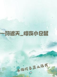 一符遮天