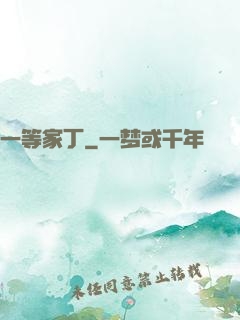 一等家丁
